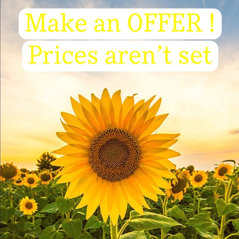 Prices are not set, feel free to send offers!